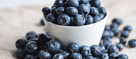 Growing blueberries
