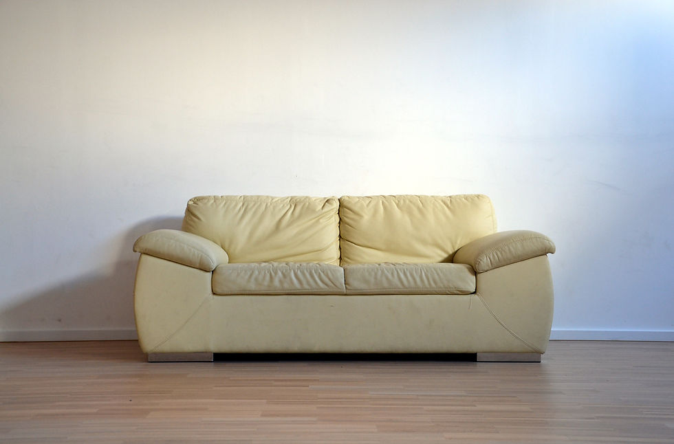sofa cleaning near me