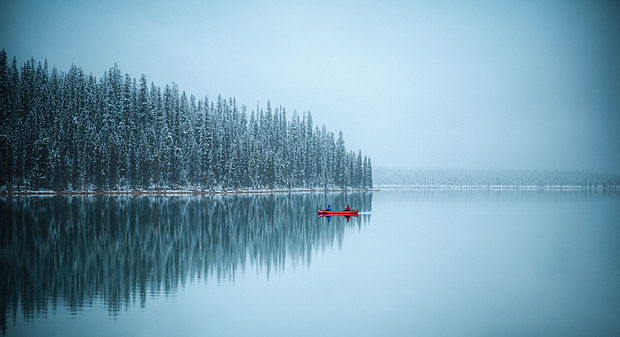 Image by Nick Carter