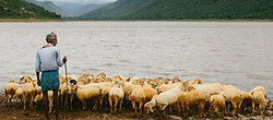 Image by joseph d'mello