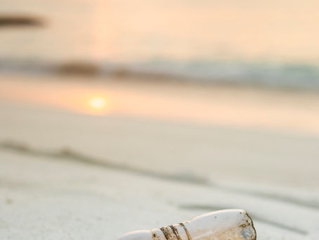 4 environmentally friendly habits to pick up in the New Year