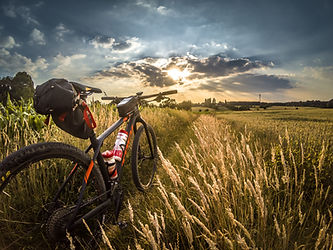 Image by Didier Weemaels