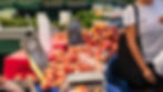 Werner's Fresh Nectarines