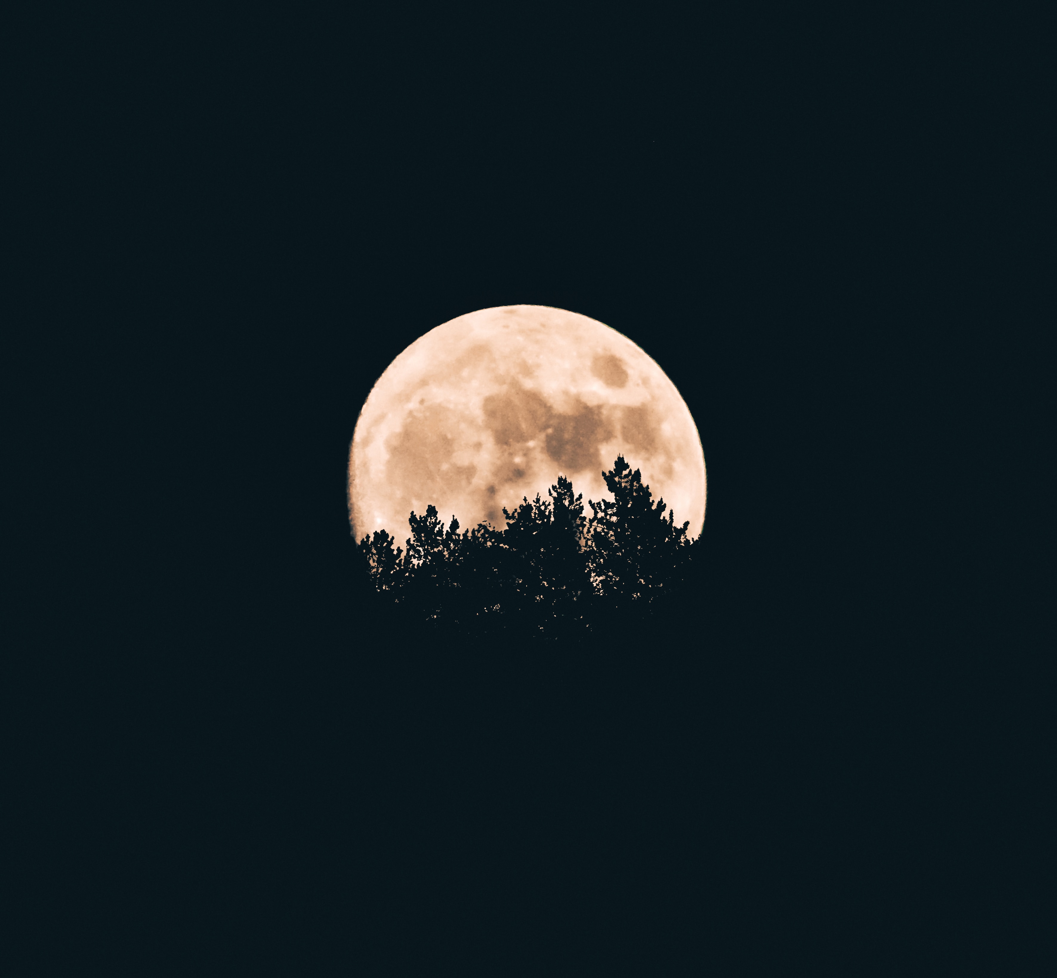 Image by Aron Visuals