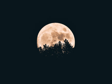 Die Walpurgisnacht - die Nacht vom 30. April auf den 1. Mai - Bedeutung