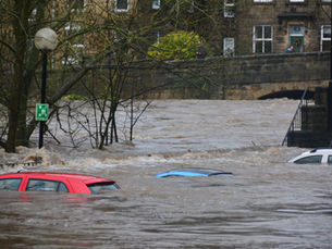 Understanding Melbourne’s Flooding Issues: Insights from January 12, 2025, and Suburb Risks