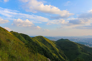 Image by Cexin Ding