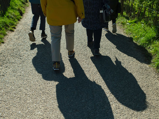 Northaven Walking Challenge: A Huge Success!