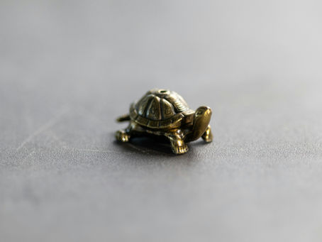 Blogbild zum Thema Longevity und gesundes Altern: Eine Person trainiert im Fitnessstudio als Symbol dafür, wie Krafttraining, Bewegung und Muskelaufbau die Gesundheitsspanne verlängern und zu mehr Energie, Stabilität und Lebensqualität beitragen.