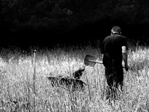 Private Investigator Background Check