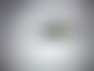 ĐỨNG LÊN TỪ THẤT BẠI