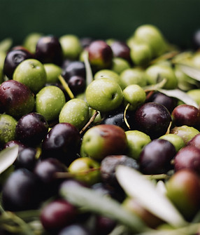 Image by Melina Kiefer