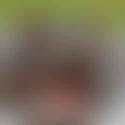 hippo with mouth wide open