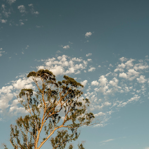 Image by Nerissa J