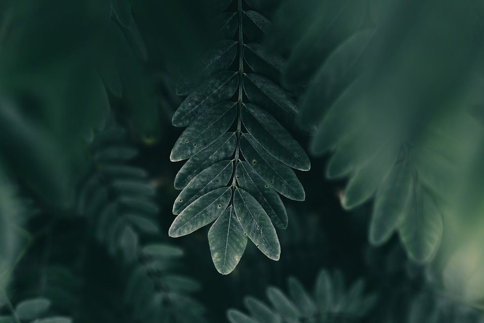 Image by Xianyu hao