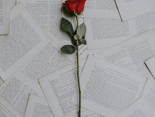 When Love Becomes Pain: A Psychological and Biological Exploration for the Woman Who Feels Too Deeply