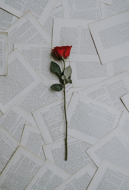 Image by Annie Spratt