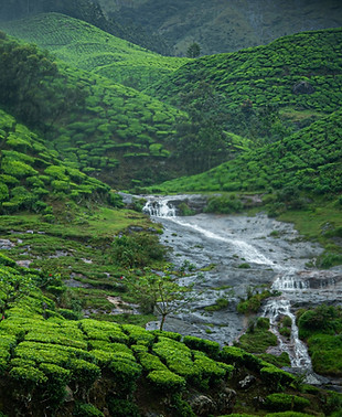 Image by Gigin Krishnan
