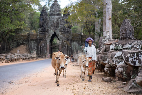 voyage sur mesure au cambodge