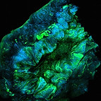 Image by National Cancer Institute