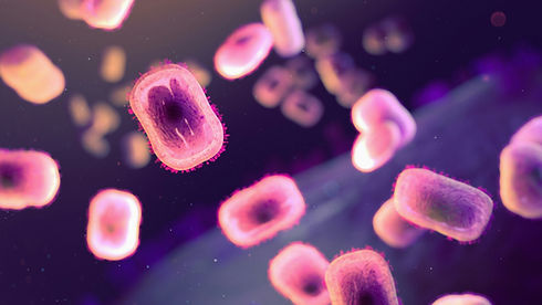 Image by National Institute of Allergy and Infectious Diseases