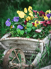 Image de Mary Potoplyak