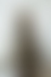 Beautifully Decorated Christmas Tree 