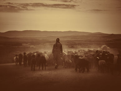 Pride and Humility and Psalm 23