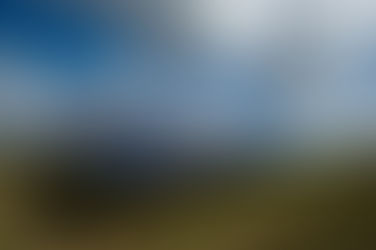 The Path to Net-Zero by 2050: OCED's Critical Role in Shaping the Future