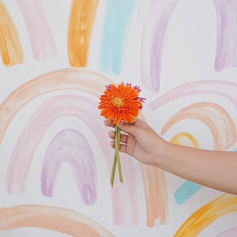 Exploring Color Therapy