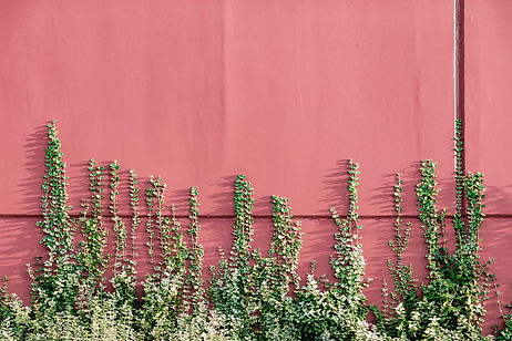 Image by Pawel Czerwinski