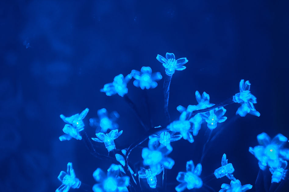 Image by Rodion Kutsaev