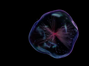 From Stem Cells to CAR T-Cells: Latest Breakthroughs in Regenerative Medicine and Immunotherapy