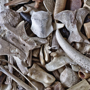 Can These Bones Live? (Sermon)