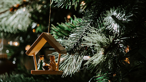 Image by Kelly Sikkema