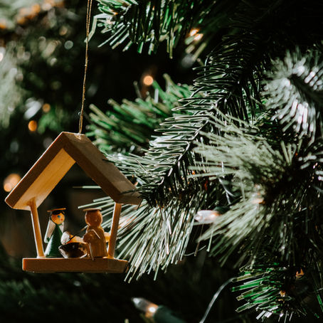 Our Constant Star: Day 28