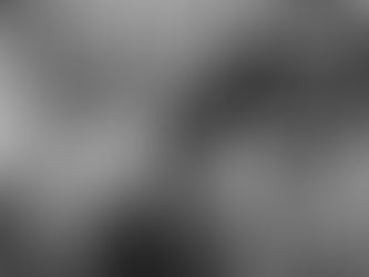 Livestock Ear Tags vs Tattoos: Which is Better for Your Agribusiness?