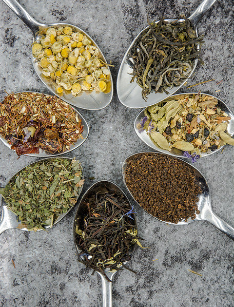 Image by Alice Pasqual