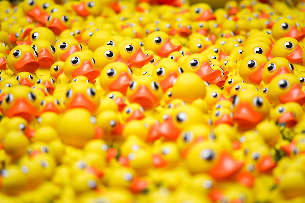 Image by Andrew Wulf