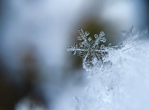 Image by Aaron Burden