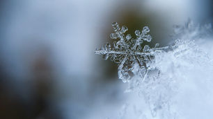 Hello Dark Winter