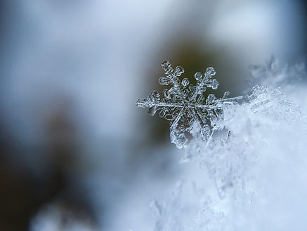 Image de Aaron Burden