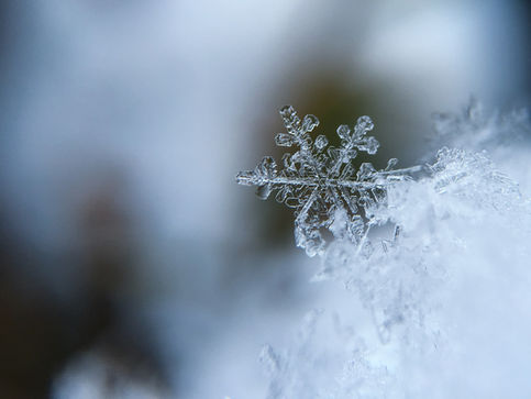 Stay safe in the snow
