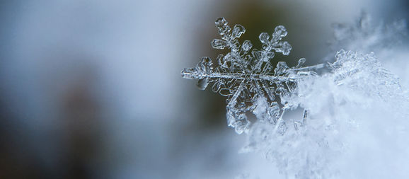 A Message to Light Bringers - December 17, 2021