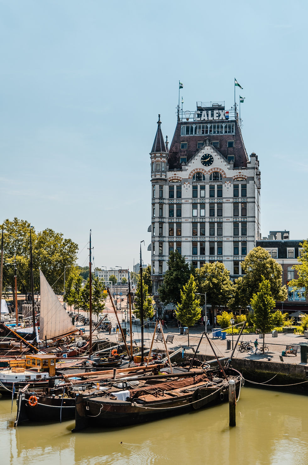 Image by Mike van den Bos