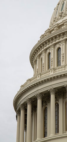 Image by Joshua Sukoff