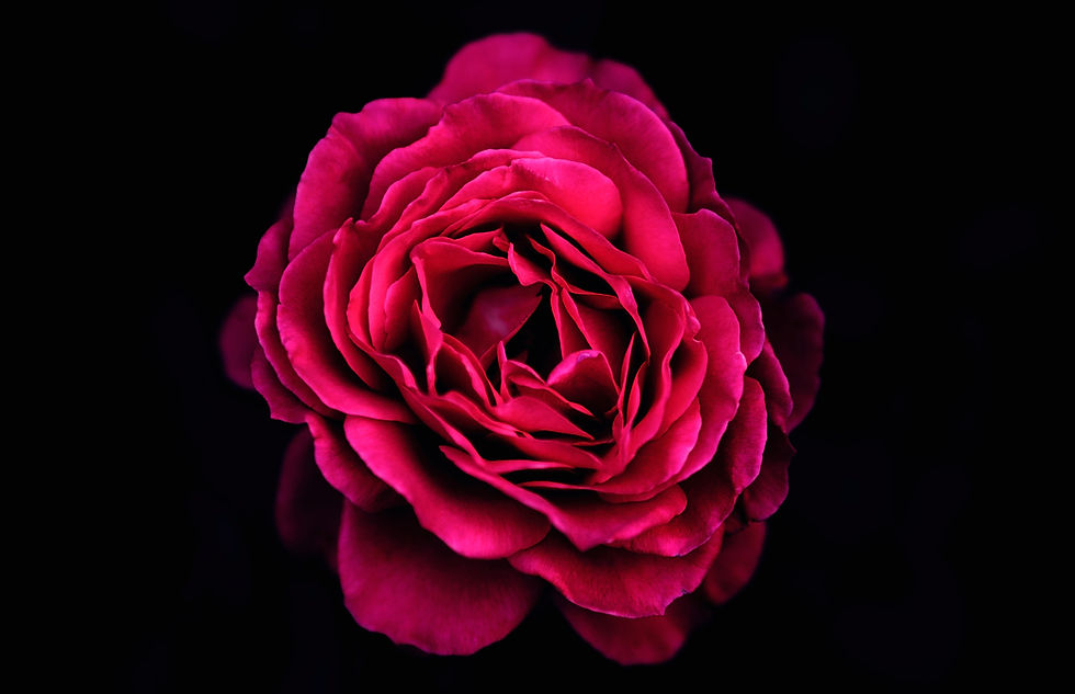 Image by Simone Dalmeri