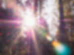 Image by Patrick