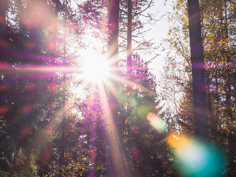 Image by Patrick Selin