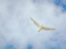 Who is God? (4)